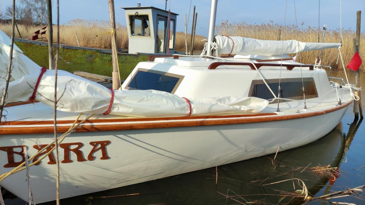 Domki Pod Zlotym Debem Конты Рыбацке Экстерьер фото